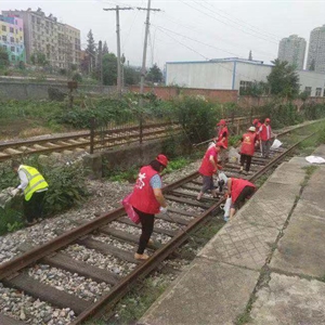 组织志愿者清理铁路沿线垃圾
