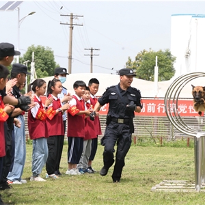 2021年5月31日，湖北省武汉市，武汉铁路公安处警犬大队训导员为志愿者学生们进行警犬日常训练演示，胡金力摄 (1)