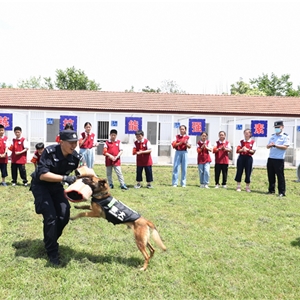 2021年5月31日，湖北省武汉市，武汉铁路公安处警犬大队训导员为志愿者学生们进行警犬日常扑咬训练演示，胡金力摄 (2)